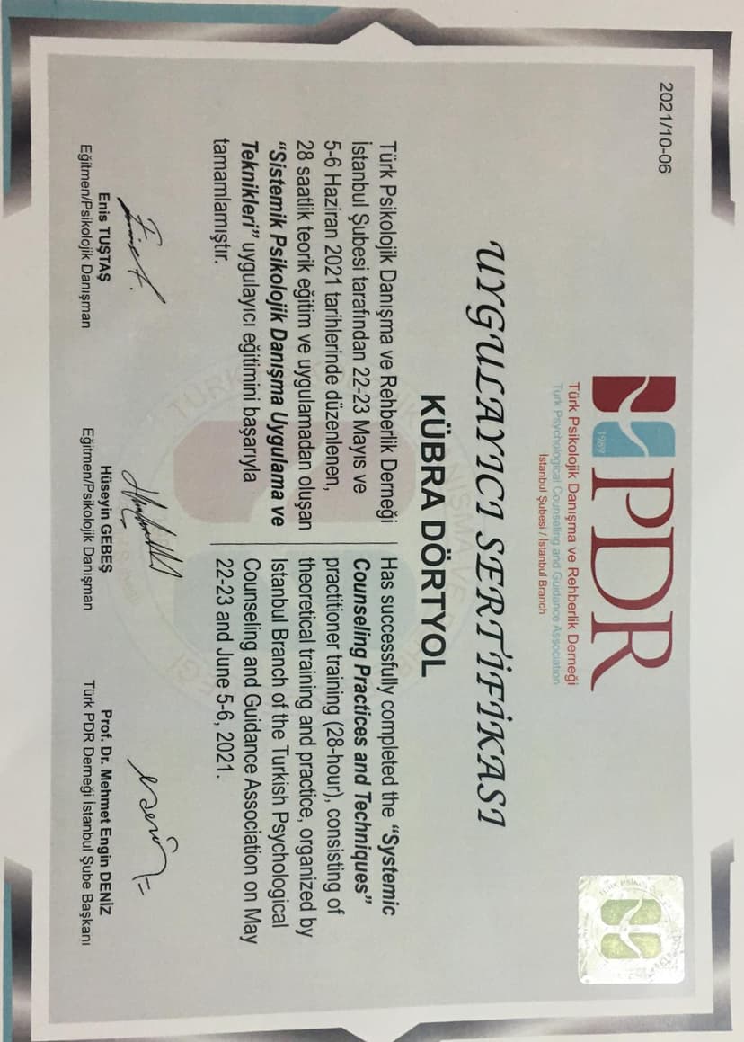 Sistemik Psikolojik Danışma Uygulama ve Teknikleri Eğitimi