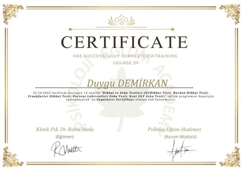 DİKKAT VE ZEKA TESTLERİ UYGULAYICI SERTİFİKASI