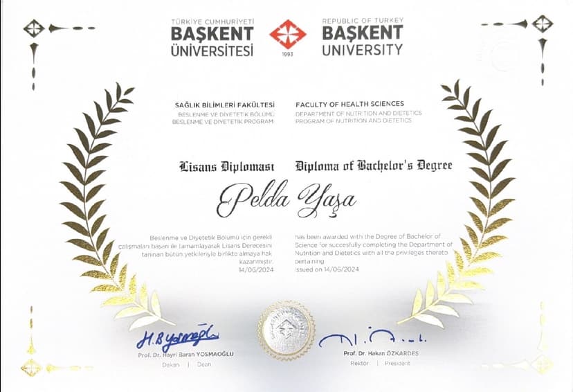 Lisans Diploması