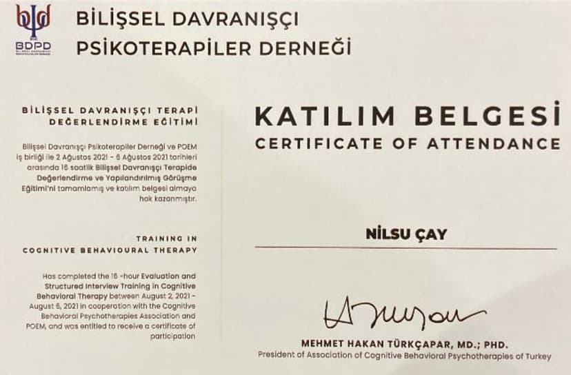 Bilişsel Davranışçı Terapide Değerlendirme ve Yapılandırılmış Görüşme Eğitimi Katılım Belgesi