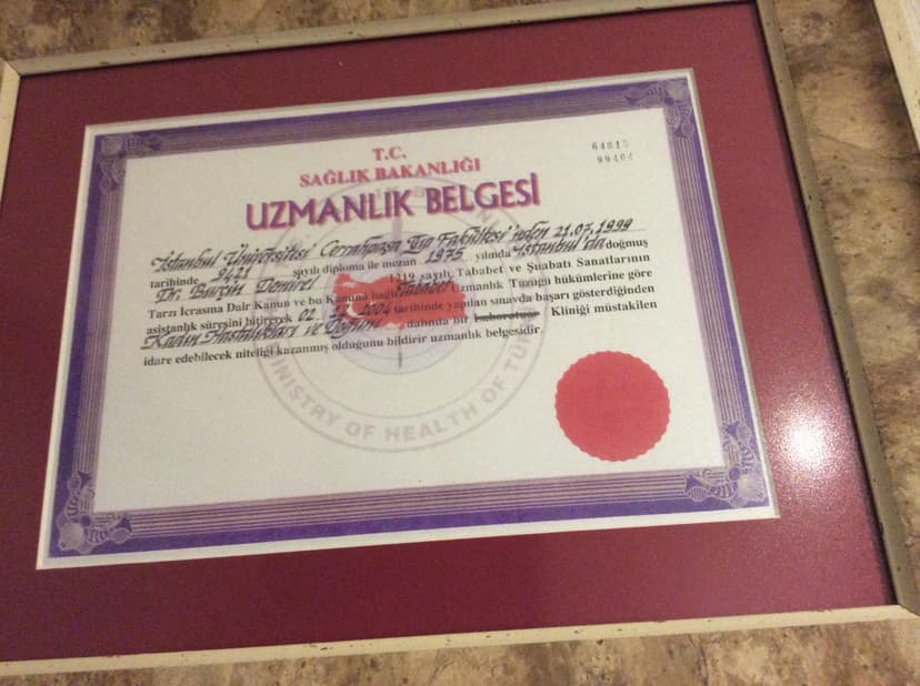 Uzmanlık Belgesi