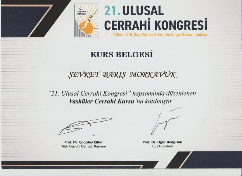 Vasküler Cerrahi Belgesi