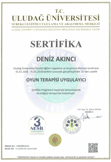 Oyun Terapisi Uygulayıcı