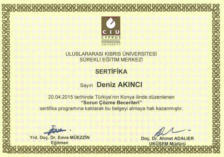 Sorun Çözme Becerileri