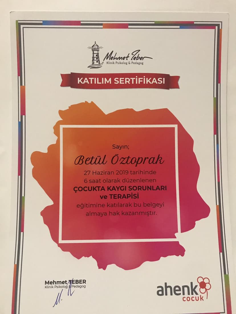 Çocukta Kaygı Sorunları ve Terapisi