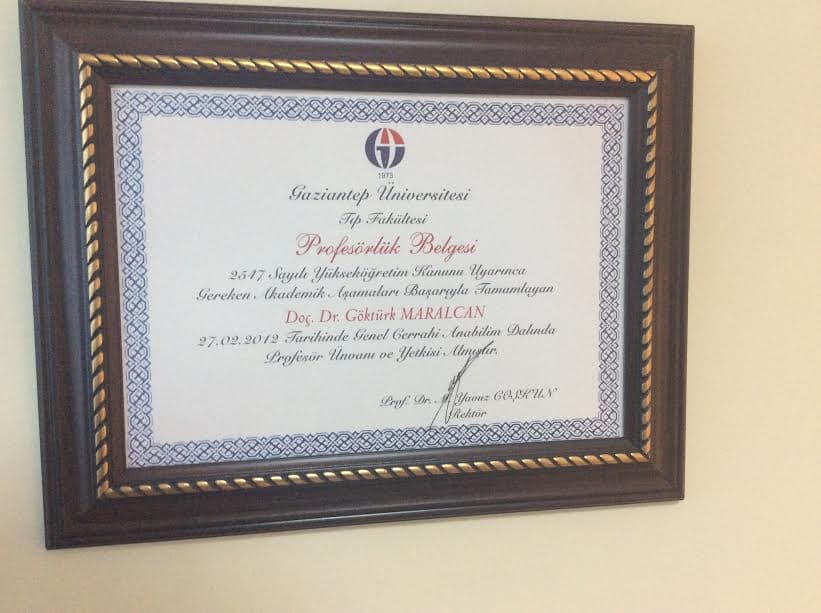 Profesörlük Belgesi