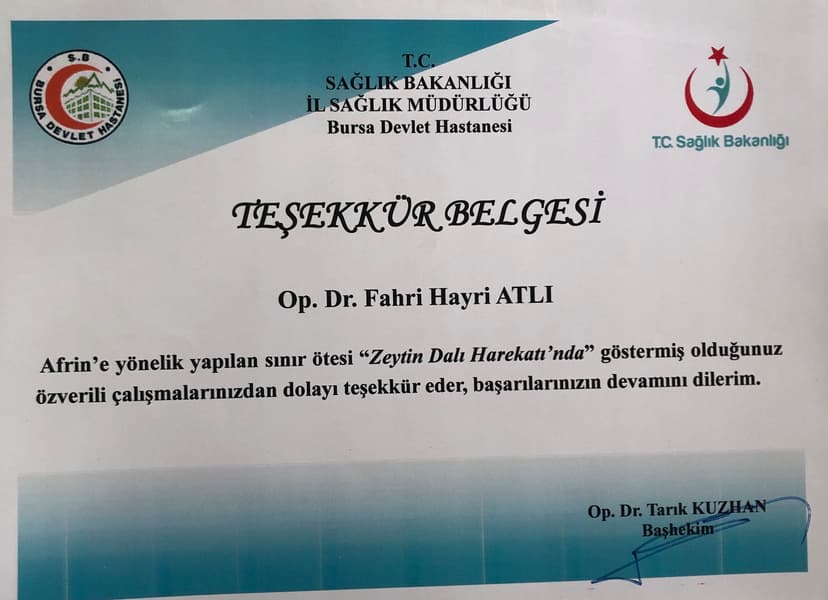 Zeytin dalı harekatı