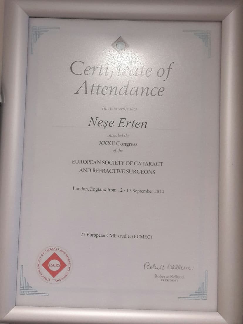 CERTİFİCATE OF ATTENDANCE 2