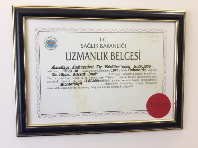 Uzmanlık Belgesi