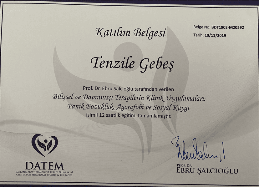Bilişsel ve Davranışçı Terapilerin Klinik Uygulamaları; Panik Bozukluk Agorofobi ve Sosyal Kaygı