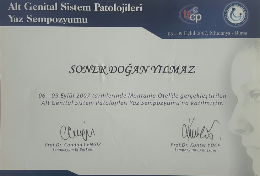 Alt Genital Sistem Patolojileri