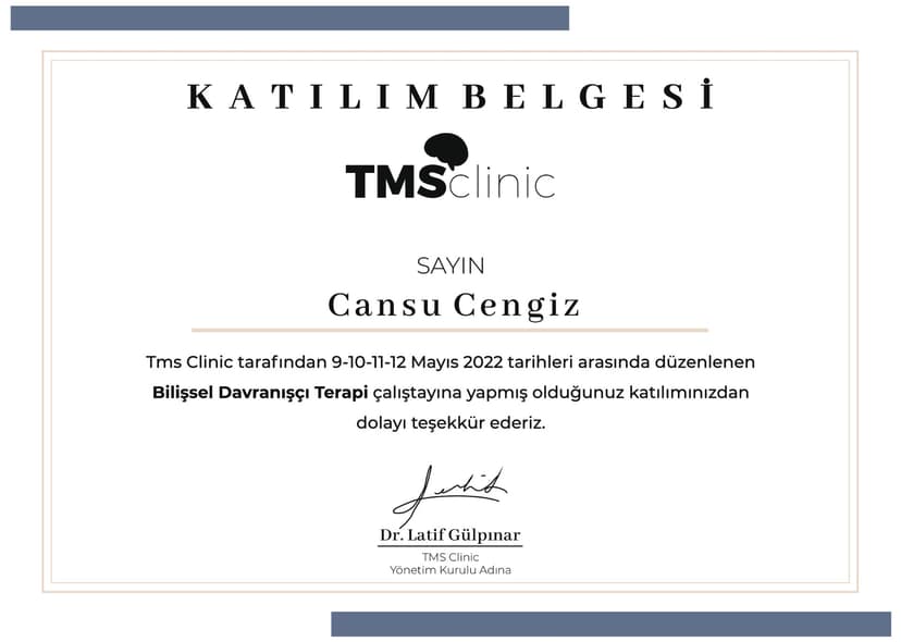 Bilişsel Davranışçı Terapi Çalıştayı