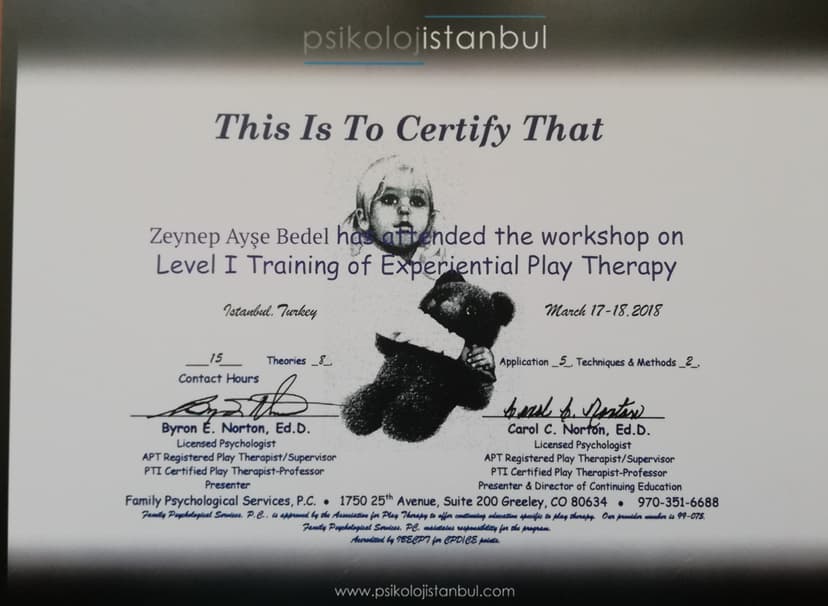 Training of Experiential Play Therapy Level-I ( Deneyimsel Oyun Terapisi 1. Seviye )
