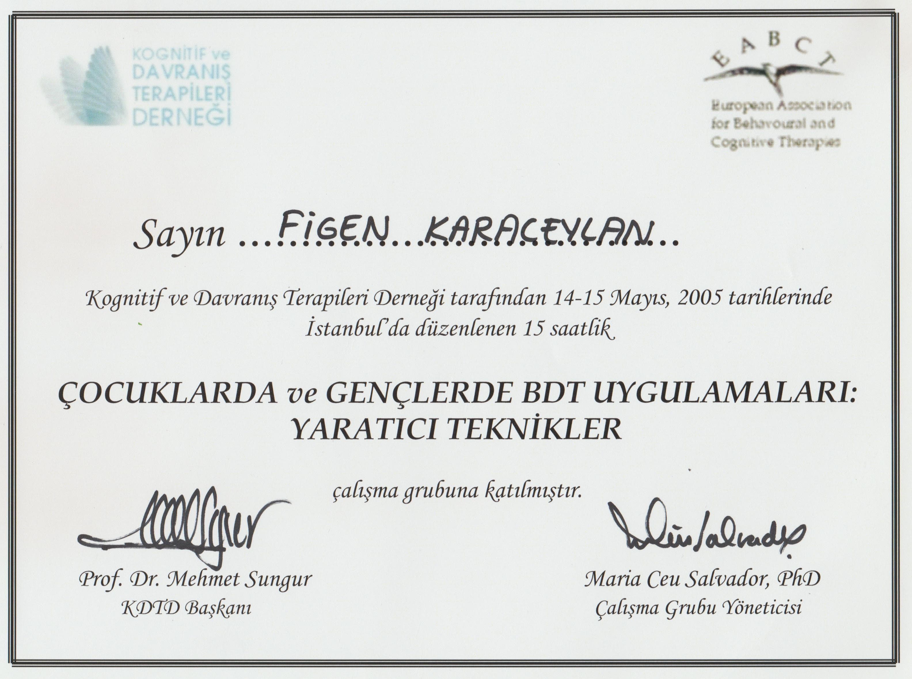 Çocuklarda ve Gençlerde BDT Uygulamaları