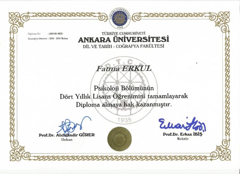 Lisans diploması