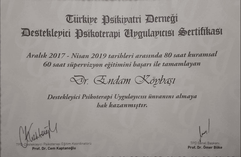 Destekleyici Psikoterapi