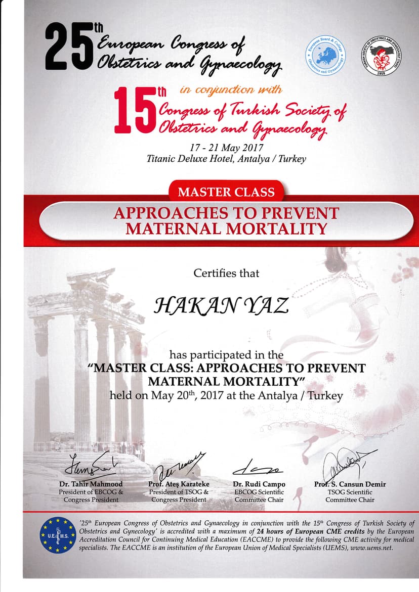 APPROACHES TO PREVENT MATERNAL MORTALİTY