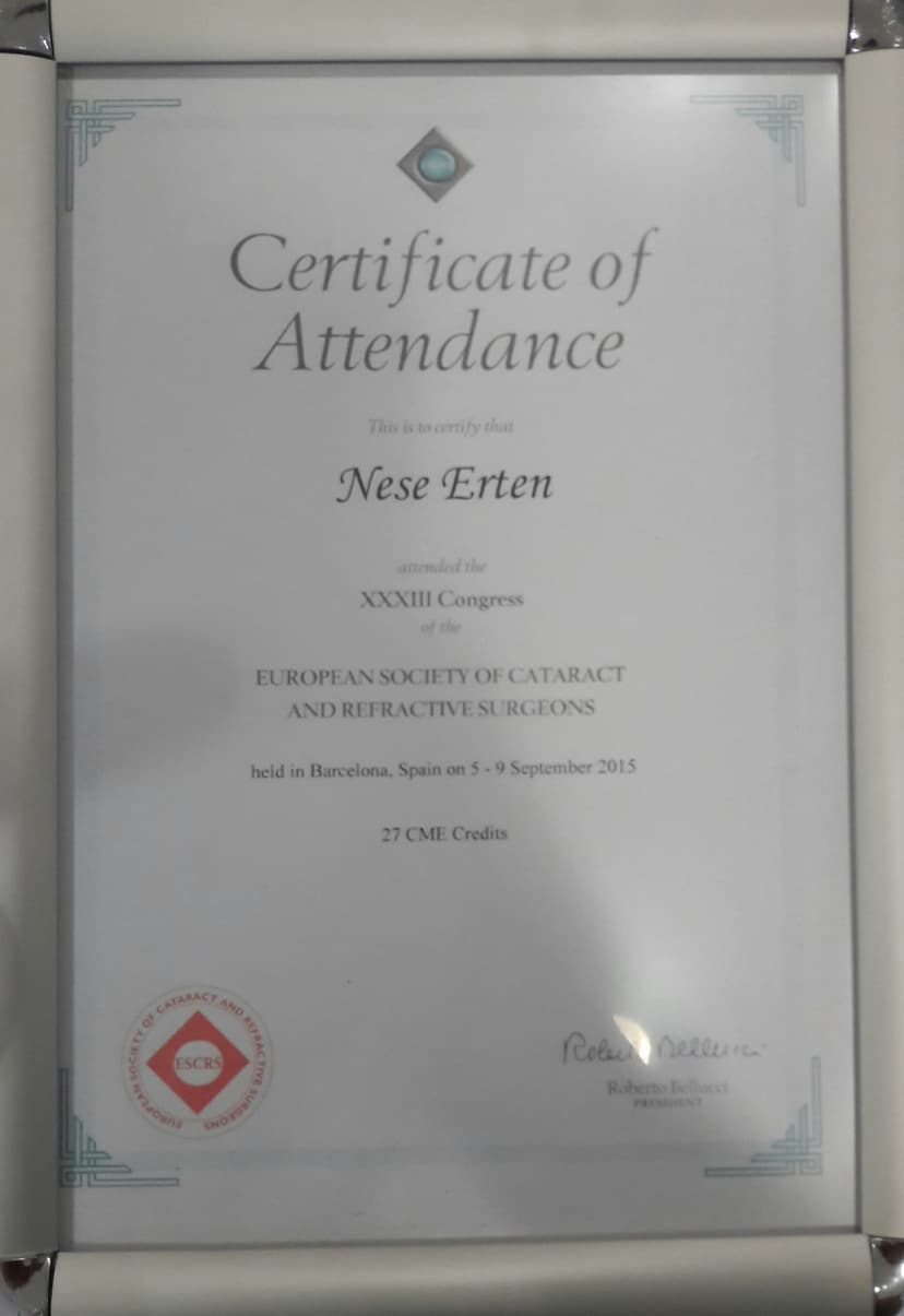 CERTİFİCATE OF ATTENDANCE