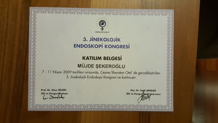 3. Endoskopik Kongresi