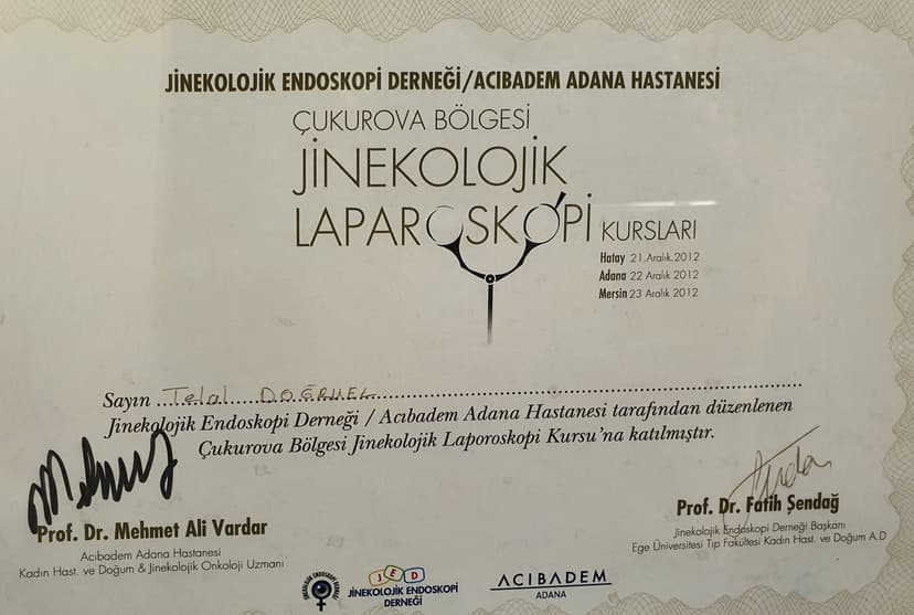 Jinekolojik Laparoskopi