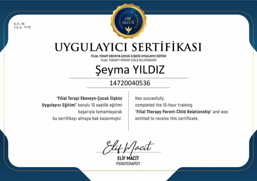 Filial Terapi Uygulayıcı Eğitimi