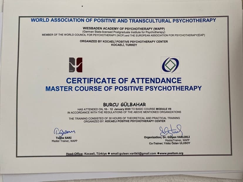 Pozitif Psikoterapi Eğitimi