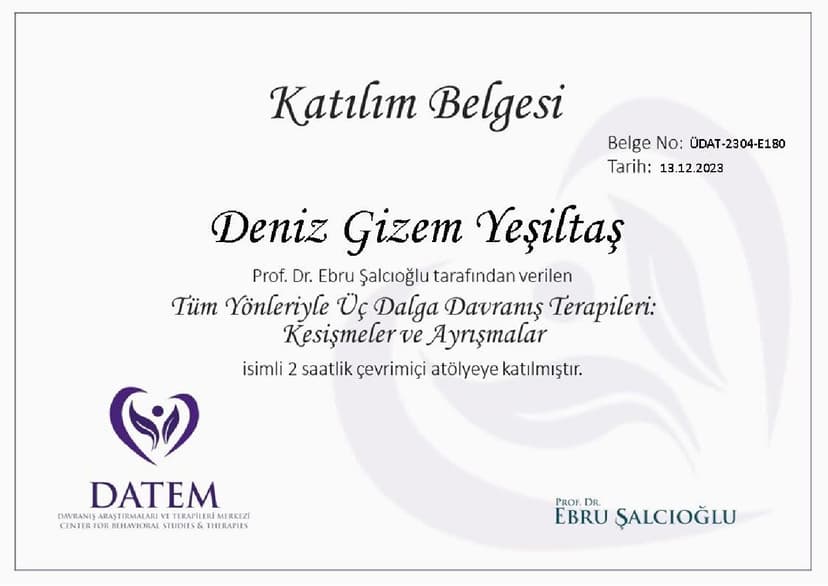 Tüm Yönleriyle üç Dalga Davranış Terapileri :Kesişmeler ve Ayrışmalar