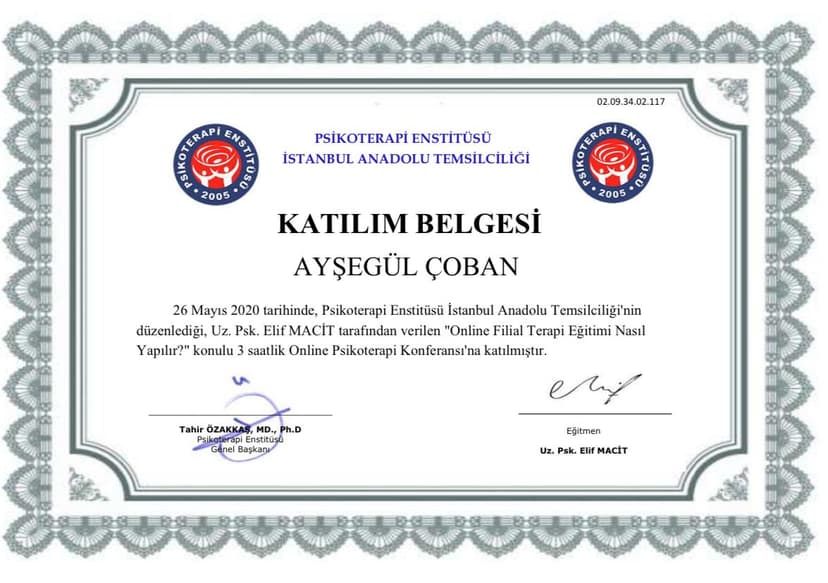 Online Filial Terapi Nasıl Yapılır ?