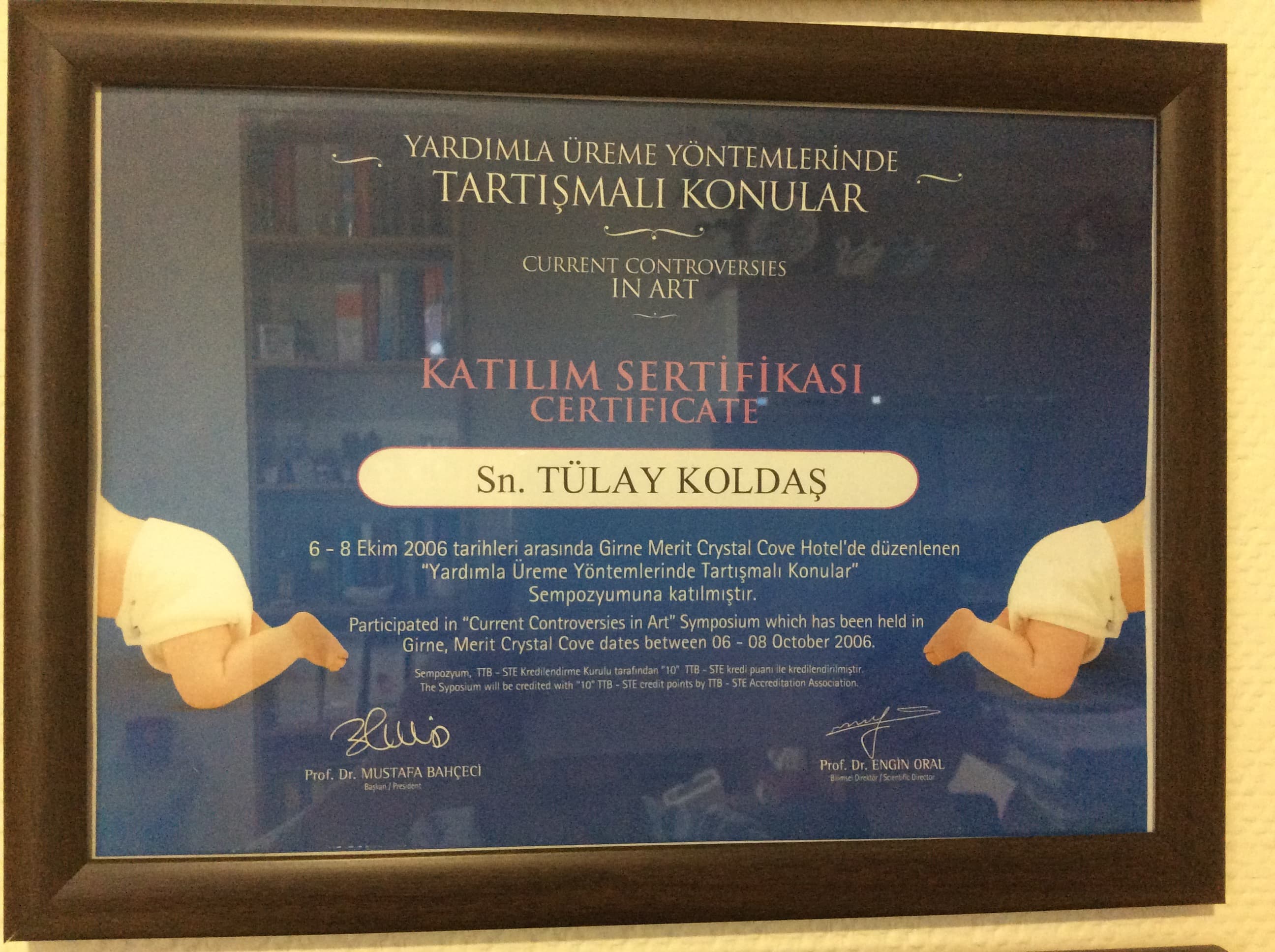 Katılım Sertifikası