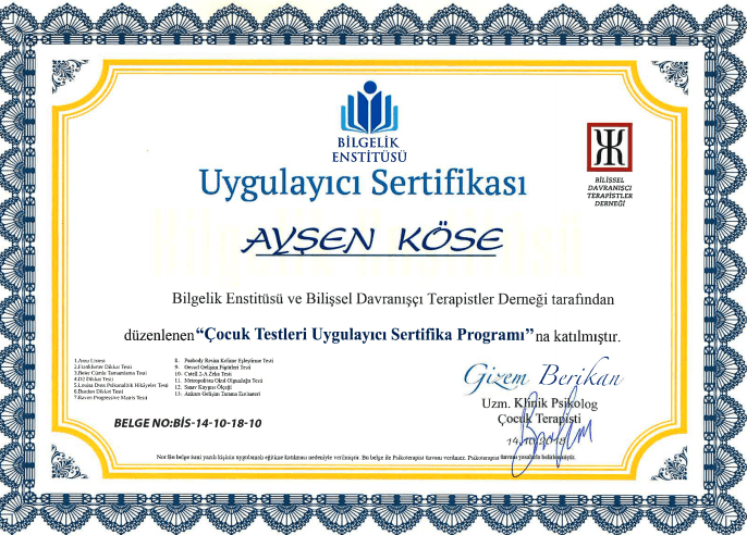 Çocuk Testleri Uygulayıcı Sertifika Programı