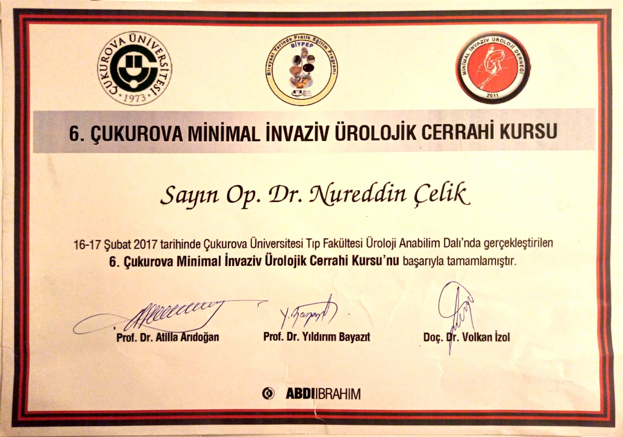 BİYPEP-Minimal İnvaziv Üroloji Derneği: Çukurova Minimal Ürolojik Cerrahi Kursu