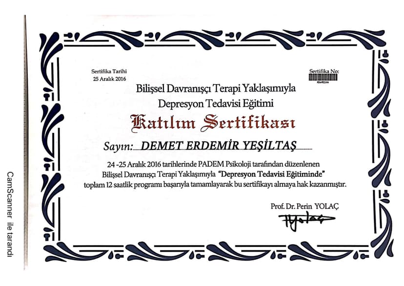 Bilişsel Davranışçı Terapi Yaklaşımıyla Depresyon Tedavisi Eğitimi