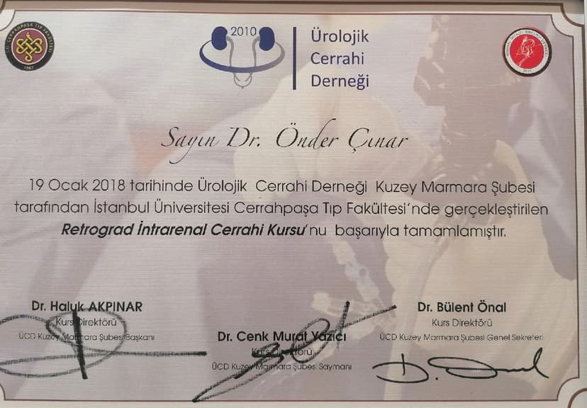 RETROGRAD İNTRARENAL CERRAHİ KURSU SERTİFİKASI