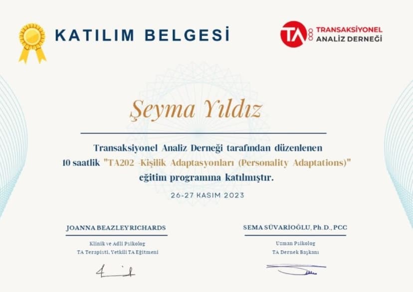 Transasiyonel Analiz 202