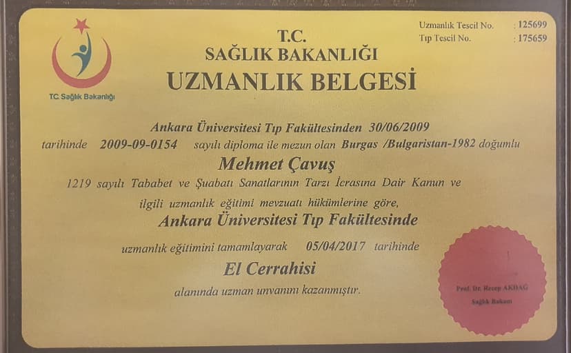 Diploma ve sertifikalar
