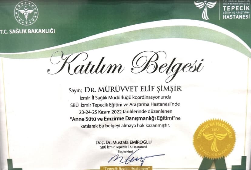 Anne Sütü ve Emzirme Danışmanlığı Sertifikası