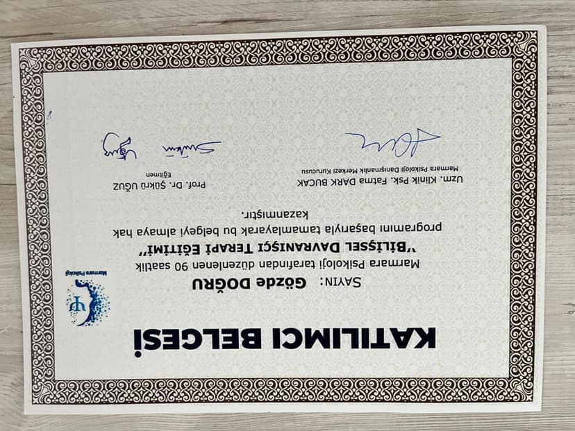 BİLİŞSEL DAVRANIŞÇI TERAPİ