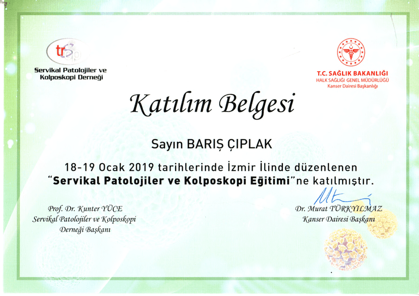 Sertifika