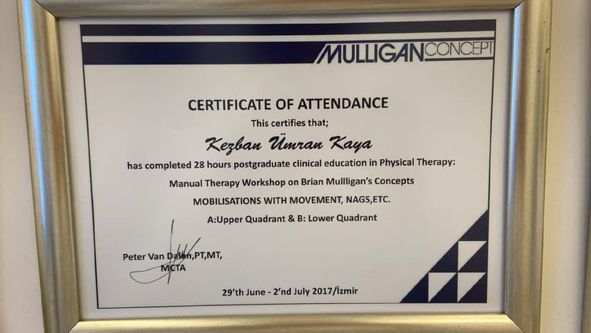 Mobilisations With Movement, Nags, Etc.