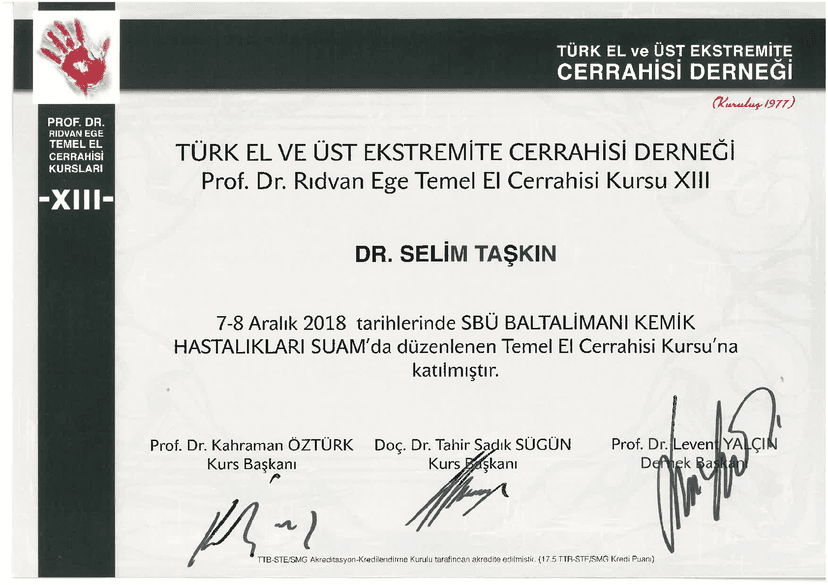 Sertifika