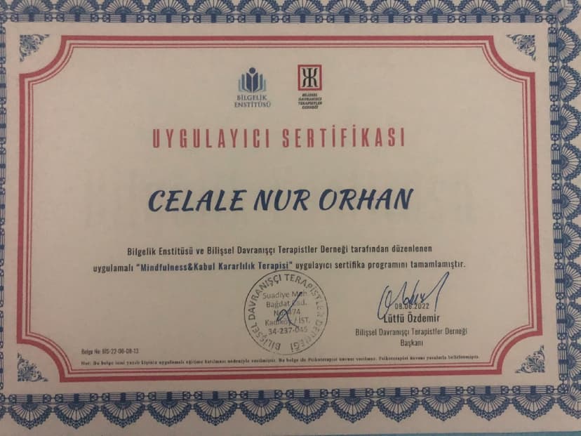 Mindfulness & Kabul Kararlılık Terapisi