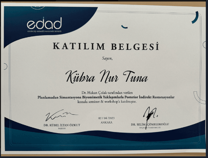 Planlamadan Simantasyona Biyomemetik Yaklaşımlarla Posterior İndirekt Restarasyonlar