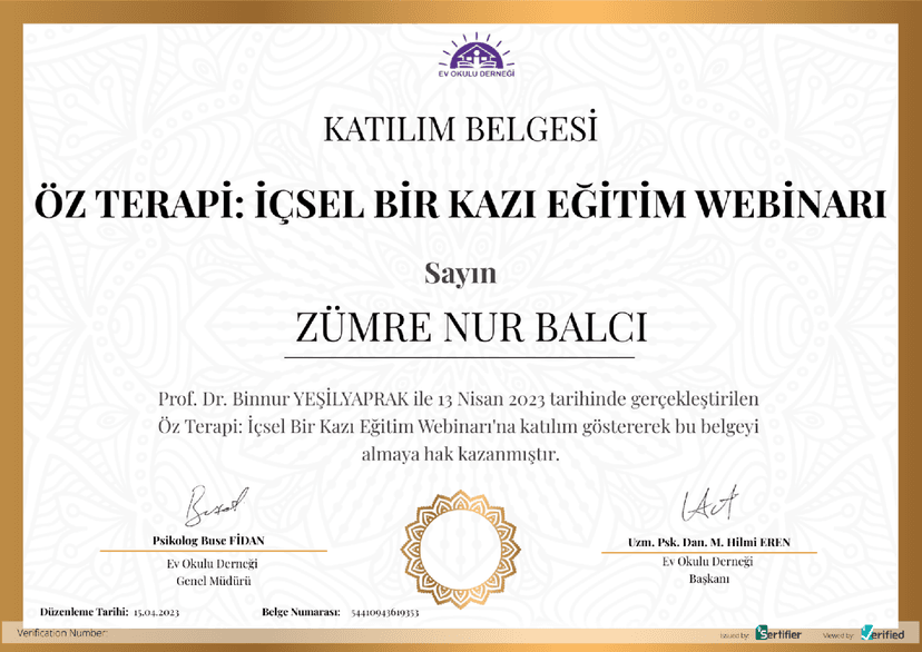 ÖZ TERAPİ:İÇSEL BİR KAZI EĞİTİM WEBİNARI