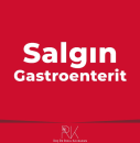 Salgın gastroenterit