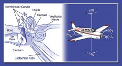 Uçuşta konumsal farkındalık (sa) ve uzaysal oryantasyon kaybı (sd) kavramları ve havacılık için önemi