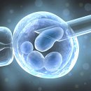 Embriyonun içine yolculuk : kapsamlı genetik tarama (acgh)
