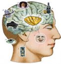 Davranış nedir? nasıl değişir?