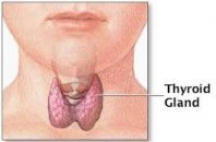 Tiroid hastalıklarına genel bakış