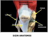 Kondromalazi patella