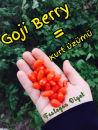 Goji berry zayıflatıyor mu?